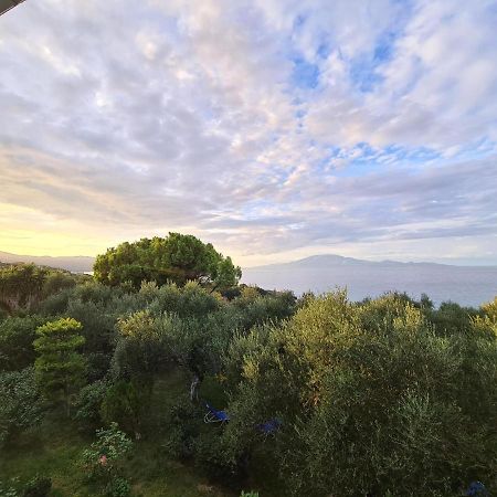 Villa Agia Aikaterini Amoudi Extérieur photo