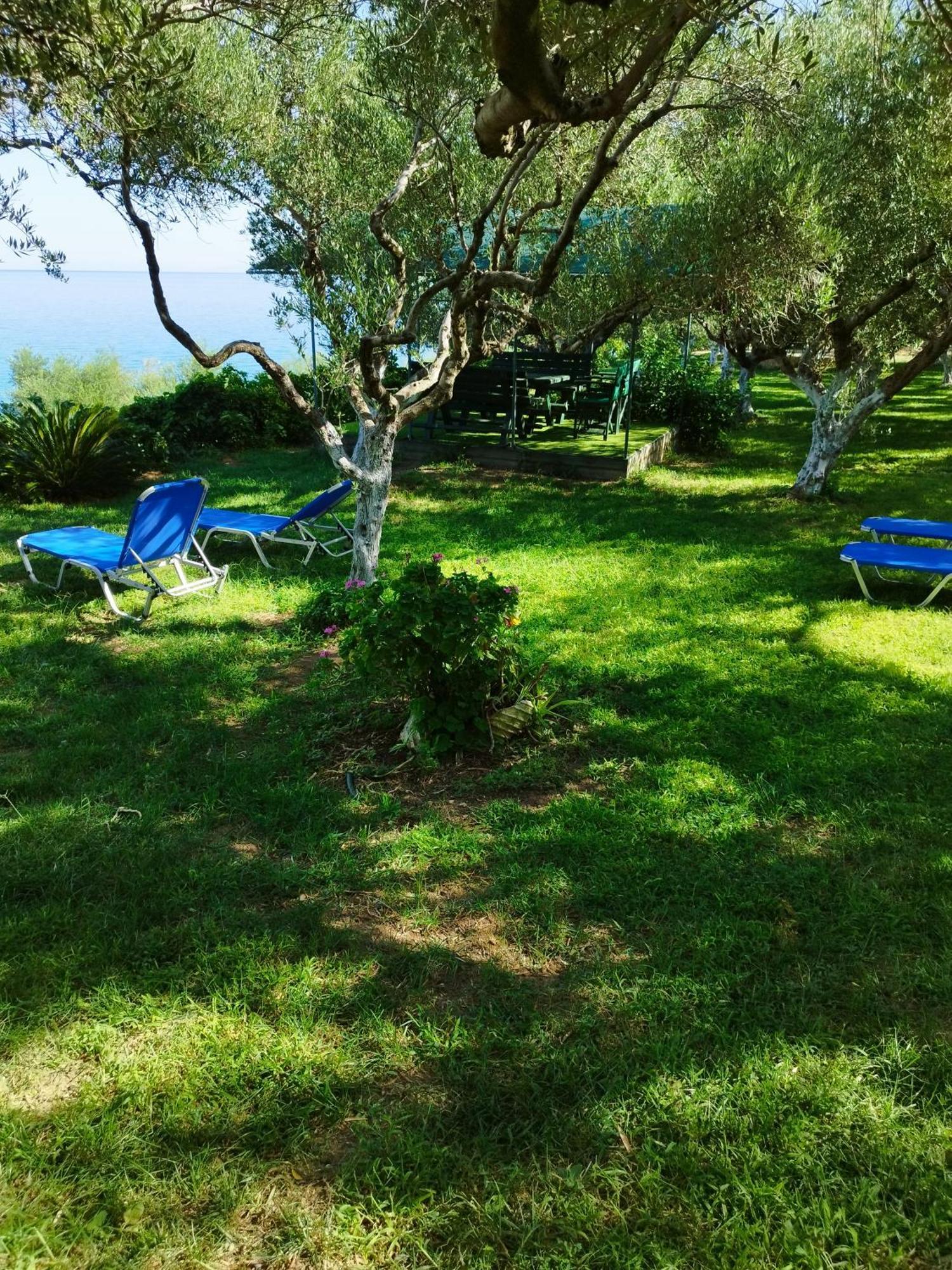 Villa Agia Aikaterini Amoudi Extérieur photo