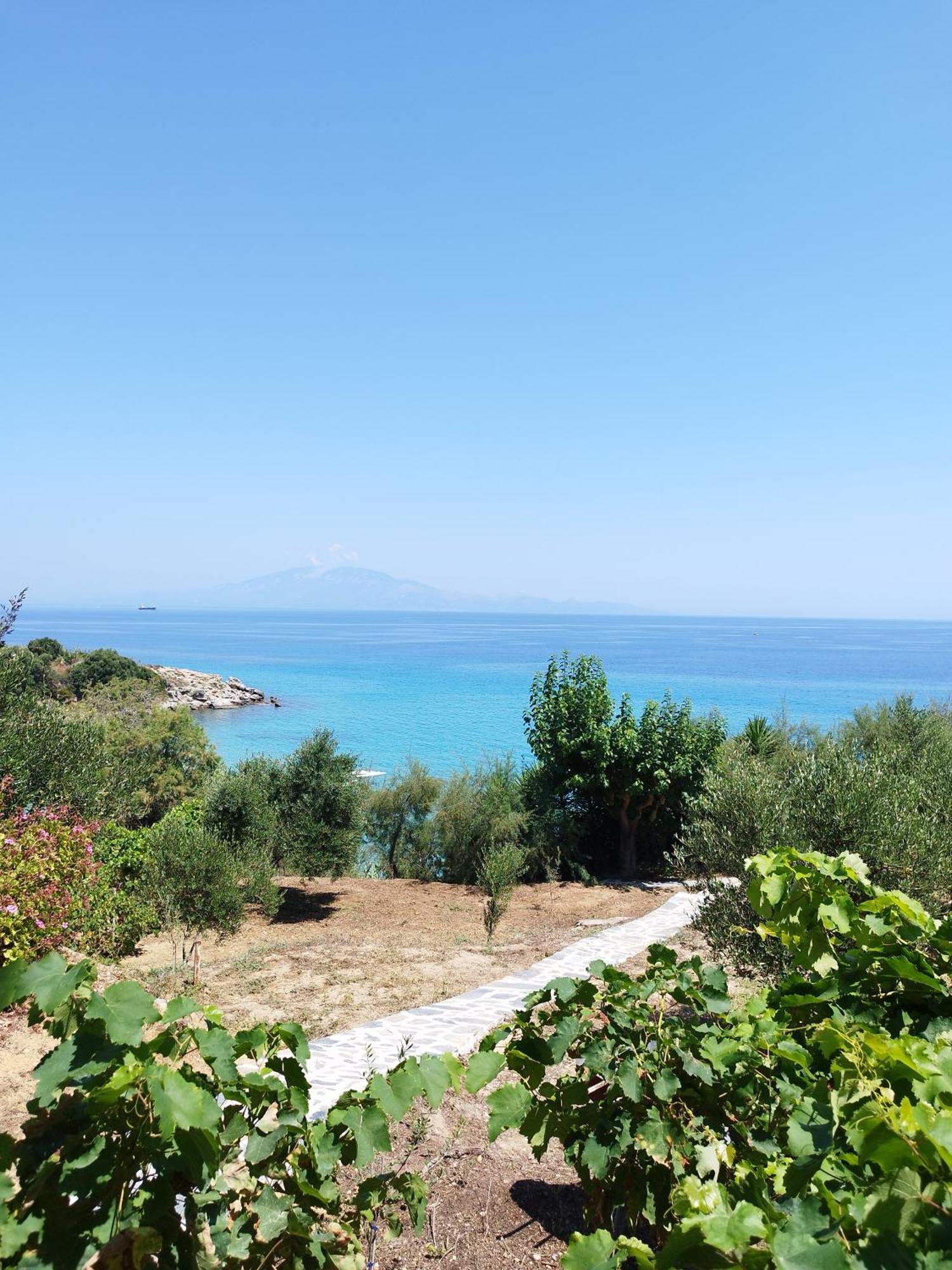 Villa Agia Aikaterini Amoudi Extérieur photo