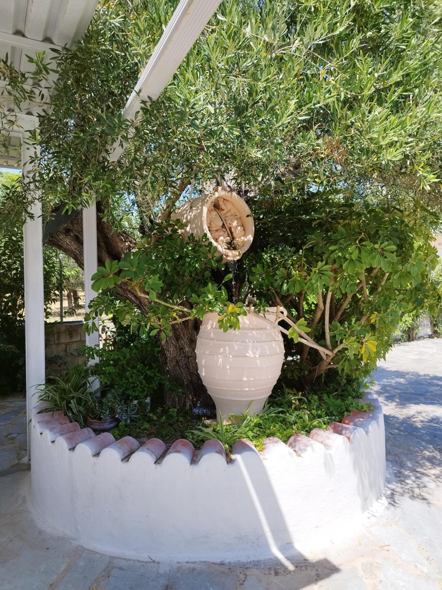 Villa Agia Aikaterini Amoudi Extérieur photo